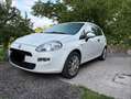 Fiat Punto Punto 1,2 69 Pop Pop Weiß - thumbnail 1