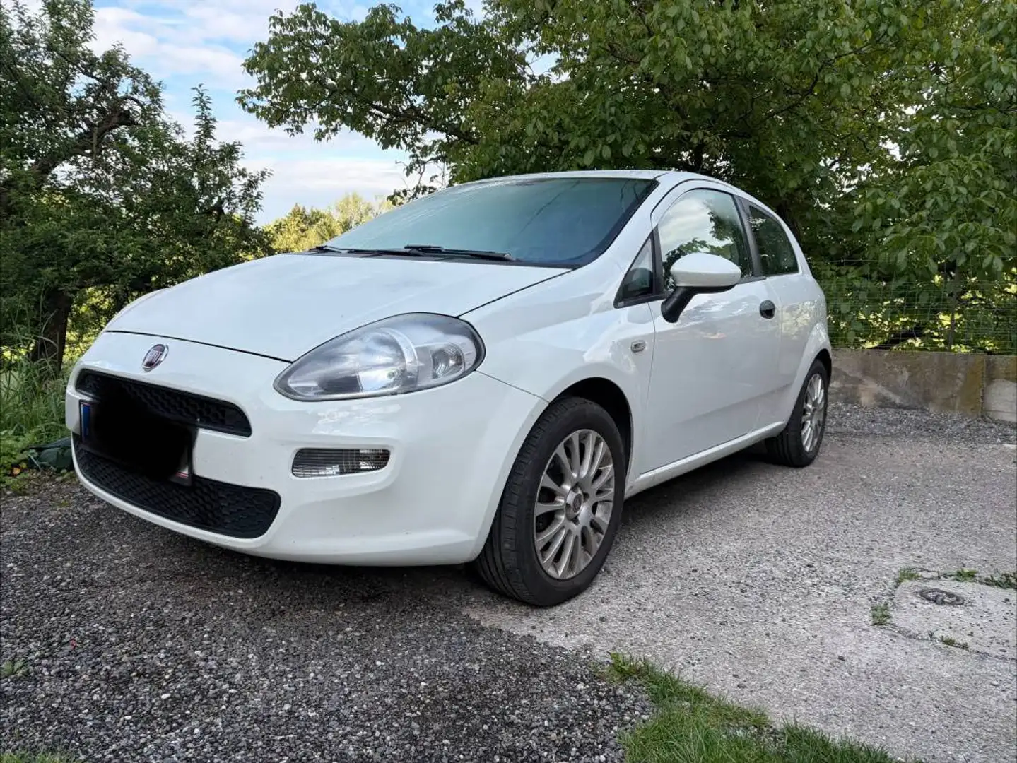 Fiat Punto Punto 1,2 69 Pop Pop Weiß - 1