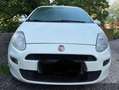 Fiat Punto Punto 1,2 69 Pop Pop Weiß - thumbnail 4