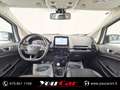 Ford EcoSport 1.0 ecoboost st-line 100cv Bianco - thumbnail 10