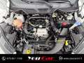 Ford EcoSport 1.0 ecoboost st-line 100cv Bianco - thumbnail 12