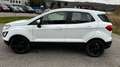 Ford EcoSport 1,0 EcoBoost Trend Weiß - thumbnail 3