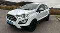 Ford EcoSport 1,0 EcoBoost Trend Weiß - thumbnail 2