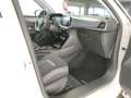 Opel Mokka-E Edition 11kw-Lader Navi Parkpilot Sitzhzg. Digital Weiß - thumbnail 16
