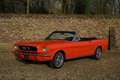 Ford Mustang Convertible 289 V8 Manual PRICE REDUCTION! Complet Oranje - thumbnail 5