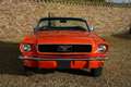 Ford Mustang Convertible 289 V8 Manual PRICE REDUCTION! Complet Oranje - thumbnail 6
