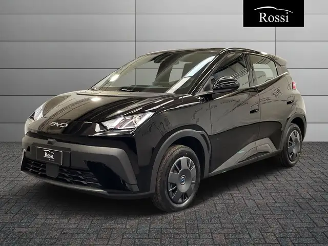 BYD Dolphin SURF Active