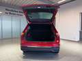 Volkswagen Tiguan 2.0 TDI Active AHK, Pano, ACC Rot - thumbnail 17
