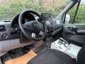 Mercedes-Benz Sprinter 316 CDI 163 CV !! AMBULANCE !! AUTO GPS CAMERA Wit - thumbnail 9