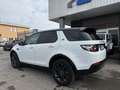 Land Rover Discovery Sport 2.0 td4  awd KM CERTIFICATI Blanc - thumbnail 6