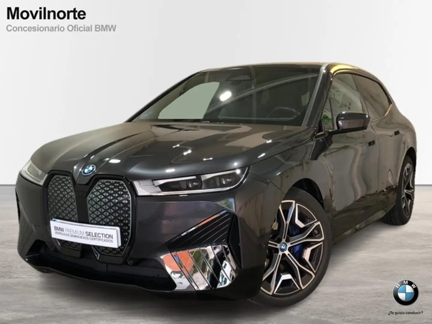 BMW iX xDrive 40 Grigio - 1