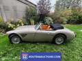 Austin Healey Healey Negro - thumbnail 4