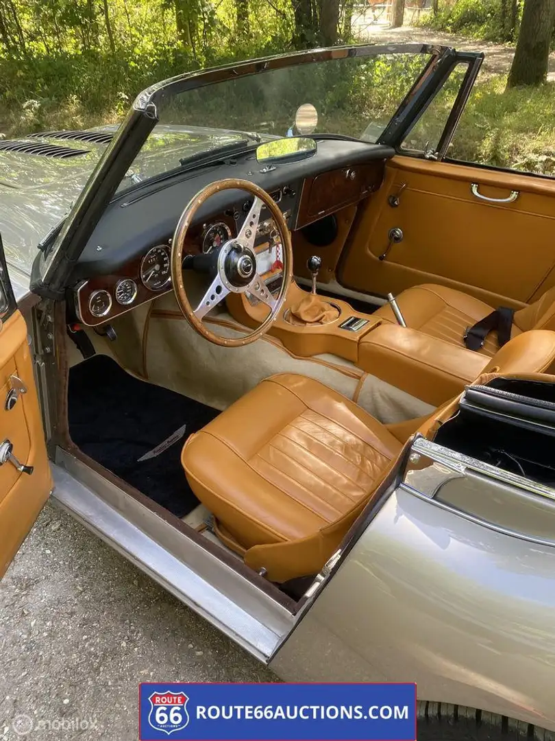 Austin Healey Healey Negro - 2