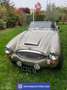 Austin Healey Healey Negro - thumbnail 7