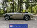Austin Healey Healey Negro - thumbnail 3
