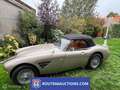 Austin Healey Healey Negro - thumbnail 5
