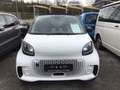 smart forTwo fortwo coupe electric drive / EQ Weiß - thumbnail 17