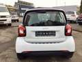 smart forTwo fortwo coupe electric drive / EQ Weiß - thumbnail 6