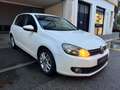 Volkswagen Golf VI - 1.6 L TDI 105 CV FAP CR BlueMotion Confortline Weiß - thumbnail 3