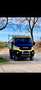Iveco Daily Kipper Pritsche 4x4 Geel - thumbnail 1