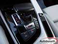 Audi RS4 4 AVANT 2.9 TFSI QUATTRO 450CV TIPTRONIC Blau - thumbnail 8