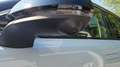 Cirelli Cirelli 4 Cirelli 4 1.5 bi-fuel Gpl Premium 177cv cvt Grau - thumbnail 15