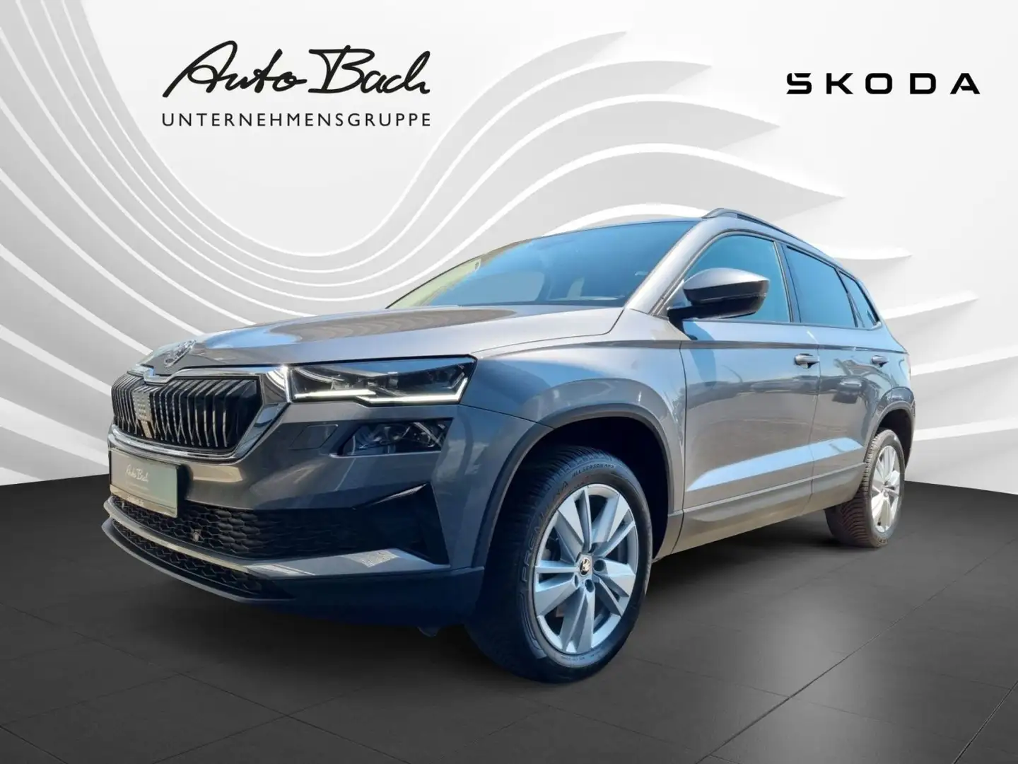 Skoda Karoq Selection 1.5 TSI DSG Grau - 1