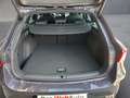 CUPRA Leon 1.5 TSI Violett - thumbnail 13