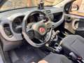 Fiat Panda 1.2 City Cross+Bluetooth*sensori PDC* winter Pack* Gris - thumbnail 11