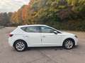 SEAT Leon Style Weiß - thumbnail 7