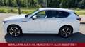 Mazda CX-60 Takumi AWD Leder/LED/RFK/NEUWAGEN DEUTSCH Alb - thumbnail 6