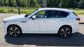Mazda CX-60 Takumi AWD Leder/LED/RFK/NEUWAGEN DEUTSCH Weiß - thumbnail 6