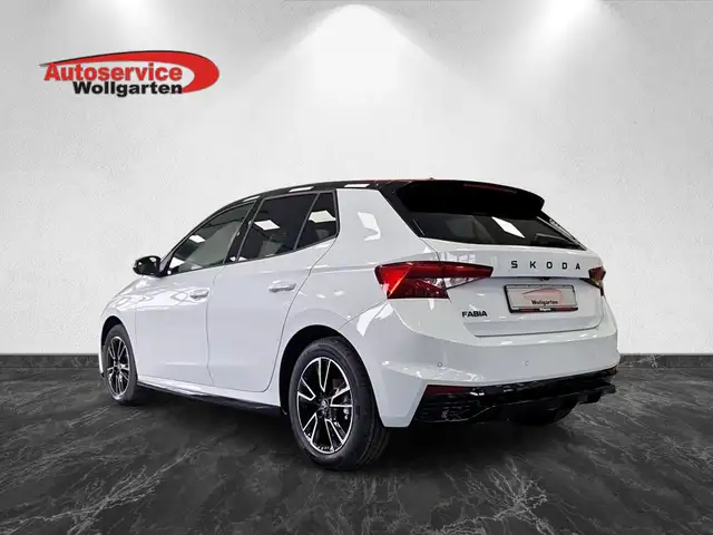 Skoda Fabia Monte Carlo DSG Navi Kessy LED SHZ RFK