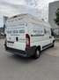 Fiat Ducato 33 L2H2 2,2 JTD 100 - thumbnail 4