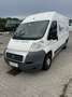 Fiat Ducato 33 L2H2 2,2 JTD 100 - thumbnail 2