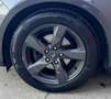 Ford Focus Focus 1.5 TDCi 120 CV Start&Stop Titanium X Grigio - thumbnail 23
