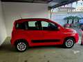 Fiat Panda Panda 1.2 Lounge s Rosso - thumbnail 5