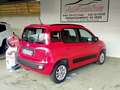 Fiat Panda Panda 1.2 Lounge s Rosso - thumbnail 8