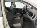 Fiat New Panda 0.9 TwinAir Turbo Natural Power City Life Alb - thumbnail 11