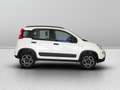 Fiat New Panda 0.9 TwinAir Turbo Natural Power City Life Alb - thumbnail 7