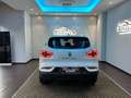 Renault Kadjar Blue dCi 8V 115CV Sport Edition Bianco - thumbnail 15