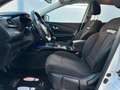 Renault Kadjar Blue dCi 8V 115CV Sport Edition Bianco - thumbnail 9