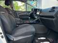 Renault Kadjar Blue dCi 8V 115CV Sport Edition Bianco - thumbnail 8