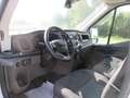 Ford Transit 2.0 TDCI 130 CV. L2H2 Weiß - thumbnail 3