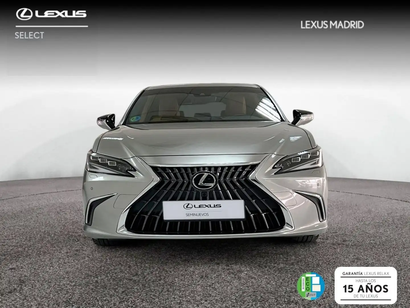 Lexus ES 300 2.5 300h Luxury Silber - 2