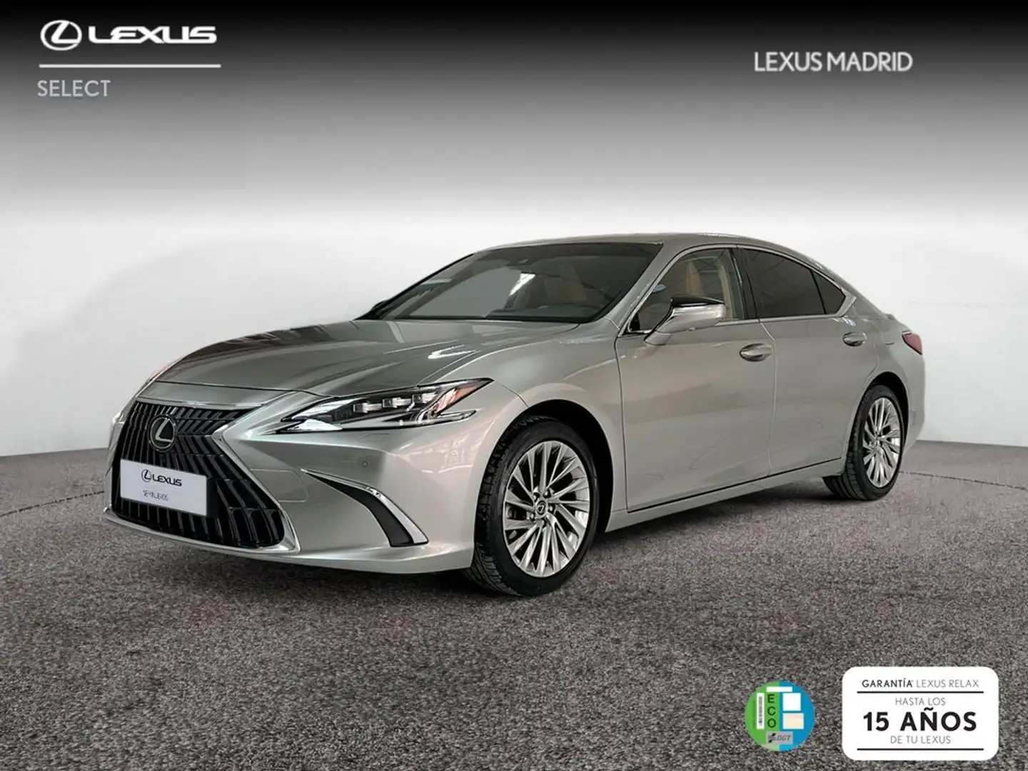 Lexus ES 300 2.5 300h Luxury Silber - 1