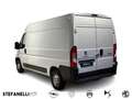 Peugeot Boxer III 330 2019 - Boxer 330 2.2 bluehdi 140cv S&S L2H - thumbnail 5