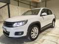 Volkswagen Tiguan 2.0TDI BMT Cross 4x2 110 Weiß - thumbnail 5