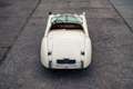 Jaguar XK 120 | Unique old restoration | Upgraded suspension Blanc - thumbnail 5