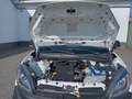 Fiat Doblo Cargo Wit - thumbnail 17